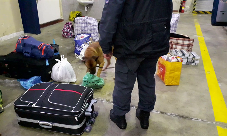 2021-2-12-944Foto Don 3.png